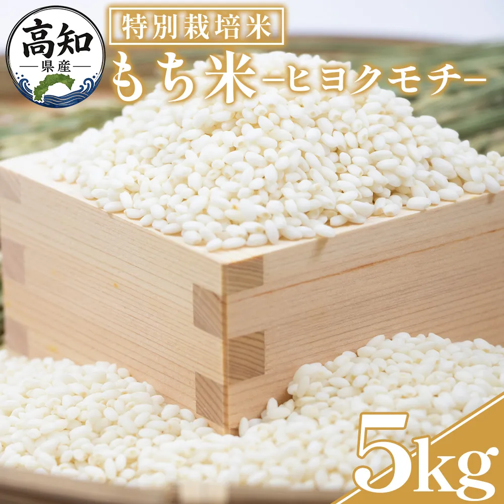【令和8年産】高知県香南市産 特別栽培米 もち米 5kg - 国産 餅 モチ もちもち おもち おこわ おはぎ 赤飯 米 お米 アレンジ 調理 高知県 香南市 常温 nu-0018