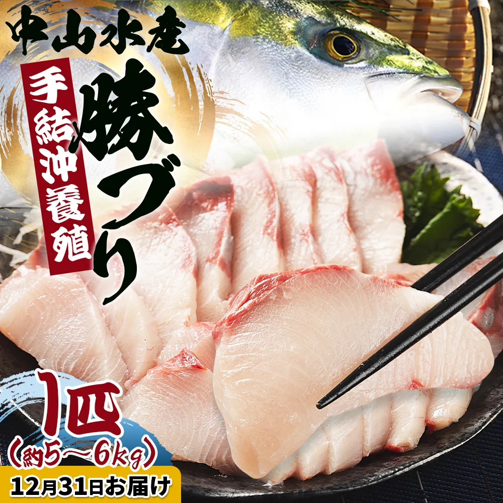 【12月31日お届け】中山水産 手結沖養殖「勝ブリ」 1匹(5kg～6kg) - 一尾まるごと 魚 ぶり 鰤 寒ブリ 海鮮 鮮魚 魚介類 ギフト 贈答 お祝い 御祝 刺身 煮物 焼き魚 照り焼き ぶりしゃぶ 一尾 たたき 1本 キロ 産地直送 buri 高知県 香南市 冷蔵 ny-0022