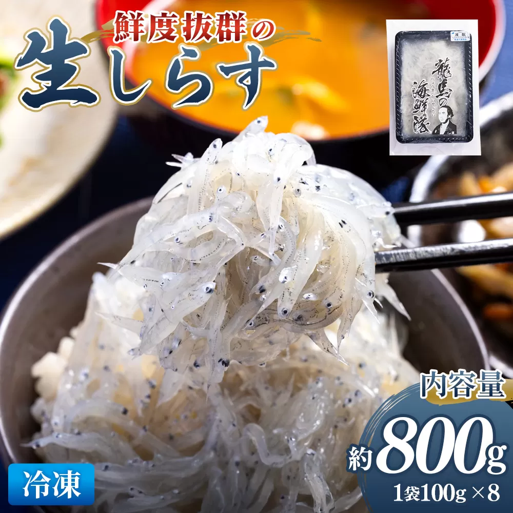 鮮度抜群の生しらす 100g×8袋 - 国産 生食 小分けパック 海鮮 新鮮 そのまま 魚介 釜揚げしらす しらす丼 海鮮丼 ご飯のお供 お取り寄せ 産地直送 竜馬 龍馬の海鮮隊 野島水産 高知県 香南市 冷凍 nz-0093