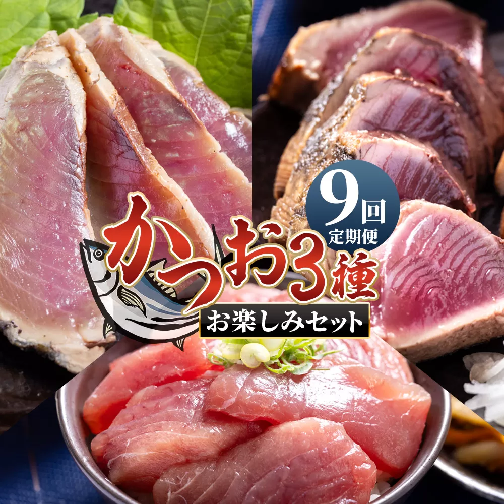 【9回定期便】〈月替わり〉かつお3種 お楽しみセット - 国産 タタキ スライス 刺身スライス 藁焼き たたき 旨みを凝縮 カツオ かつお 小分けパック 海鮮 新鮮 魚介 産地直送 竜馬 龍馬の海鮮隊 野島水産 高知県 香南市 Wnz-0114