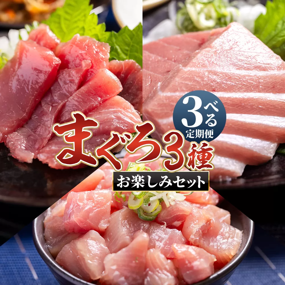 [3回定期便][月替わり]まぐろ 3種 お楽しみセット - 国産 刺身スライス 柵 切り落とし 海鮮丼 漬け丼 煮物 鮪 マグロ カット済み 角切り 小分けパック 新鮮 魚介 産地直送 龍馬の海鮮隊 野島水産 高知県 香南市 Wnz-0116