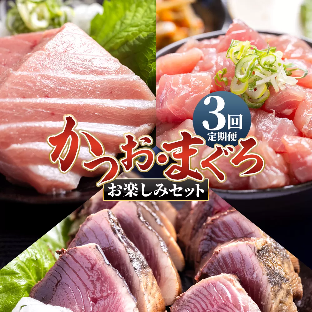 [3回定期便][月替わり]かつお・まぐろ お楽しみセット - 国産 海鮮丼 漬け丼 煮物 鮪 マグロ 鰹 カツオ タタキ たたき 小分けパック 新鮮 魚介 産地直送 龍馬の海鮮隊 野島水産 高知県 香南市 Wnz-0120
