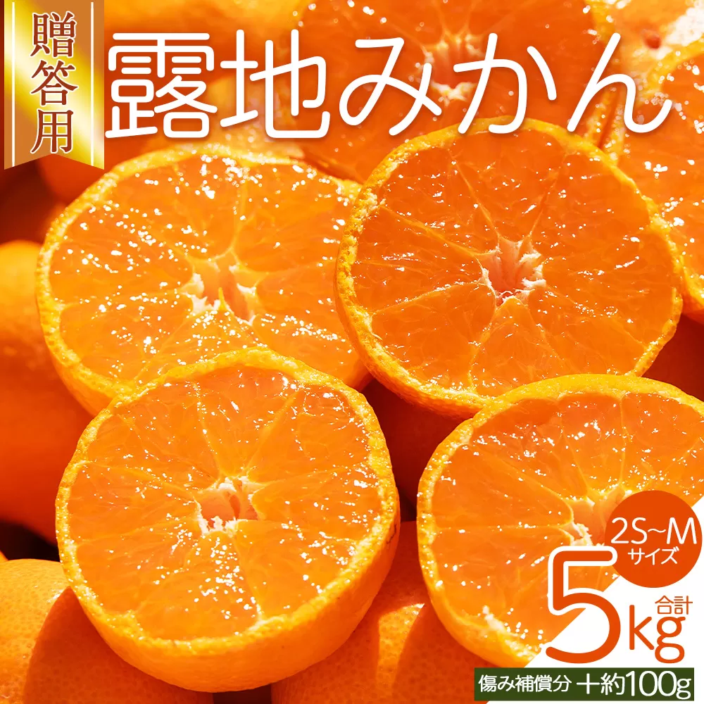 【2026年10月下旬発送】露地みかん(2S～Mサイズ) 5kg 贈答用 （傷み補償分 ＋約100g）- ミカン 蜜柑 柑橘 甘い あまい 果実 青果 贈物 贈り物 プレゼント ギフト 御礼 おれい 高知県 香南市 常温 om-0004