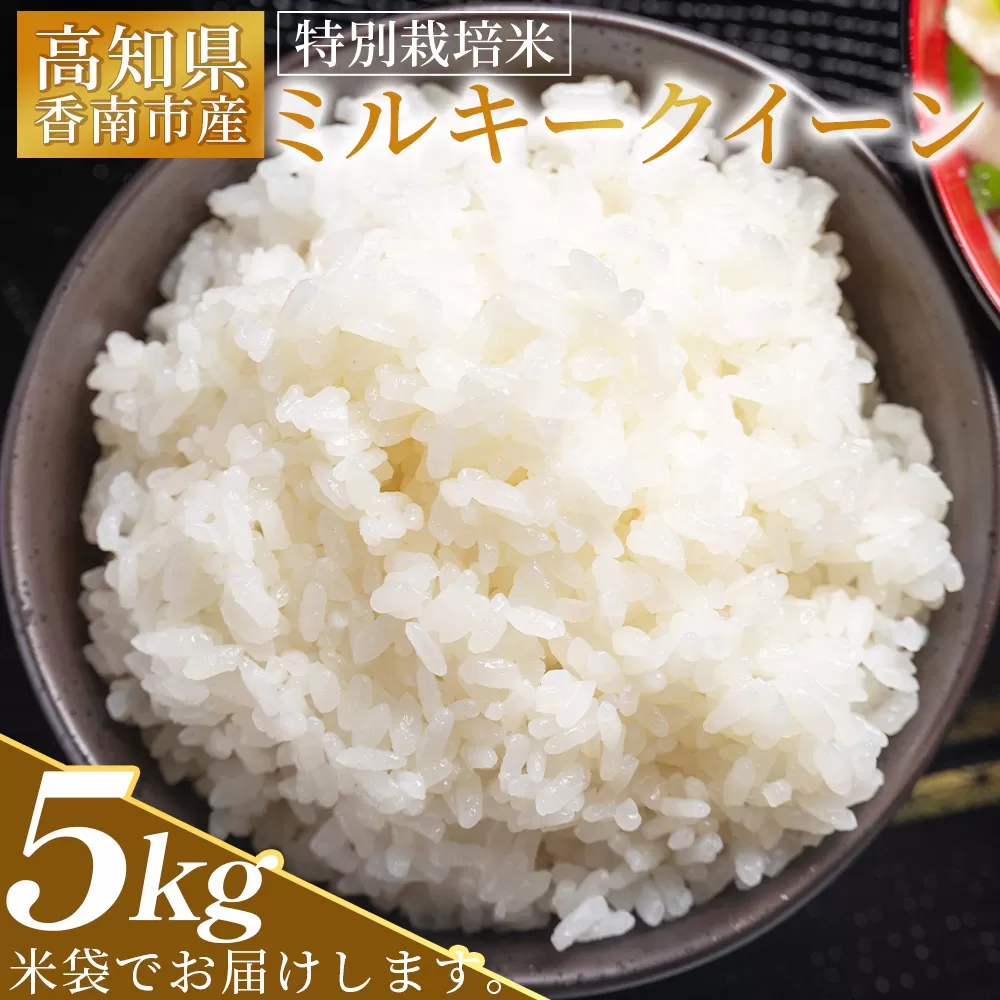 [令和8年8月下旬発送]新米 令和8年産 特別栽培米 ミルキークイーン 5kg 高知県香南市産 sr-0002