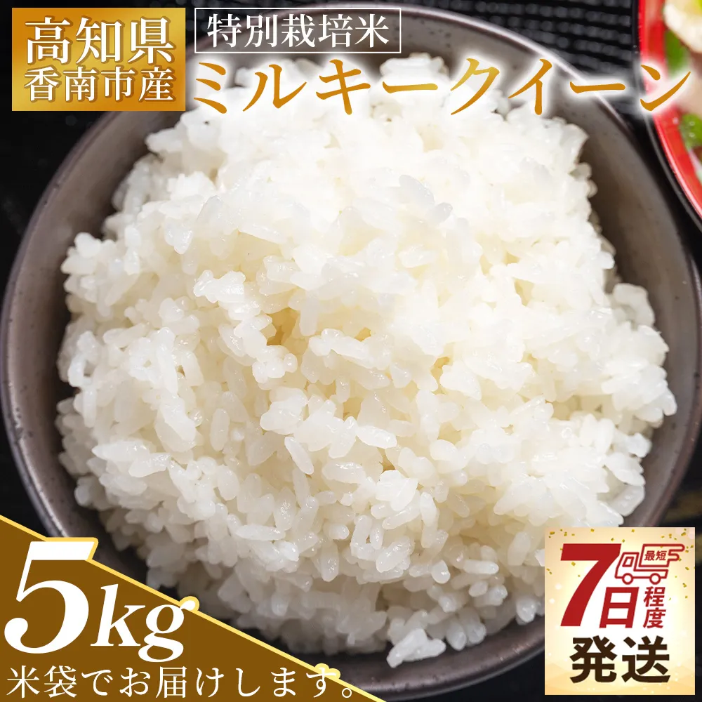【順次発送】新米 令和8年産 特別栽培米 ミルキークイーン 5kg 高知県香南市産 sr-0005