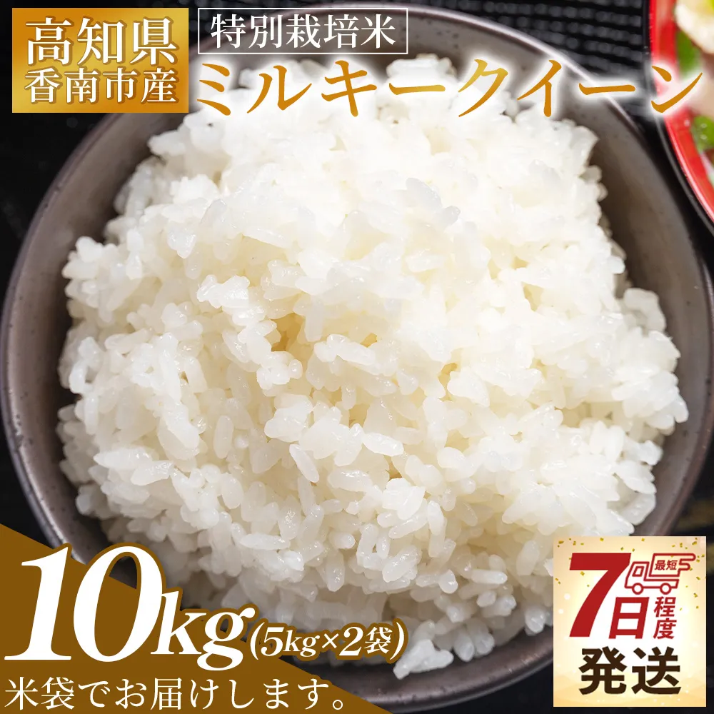 [順次発送]特別栽培米 ミルキークイーン 10kg 高知県香南市産 - お米 米 白ご飯 ごはん 精米 お弁当 おにぎり おむすび 炊き込みご飯 おいしい 美味しい 防災 非常食 備蓄 高知県 香南市 常温 sr-0008