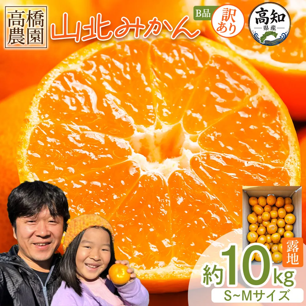 【2026年11月中旬より順次配送】訳あり 山北みかん(露地・S〜Mサイズ)約10kg - フルーツ 果物 くだもの 柑橘類 ミカン 蜜柑 B品 小傷あり 家庭用 季節限定 期間限定 新鮮 農家直送 露地栽培 高橋農園 高知県 香南市 th-0032