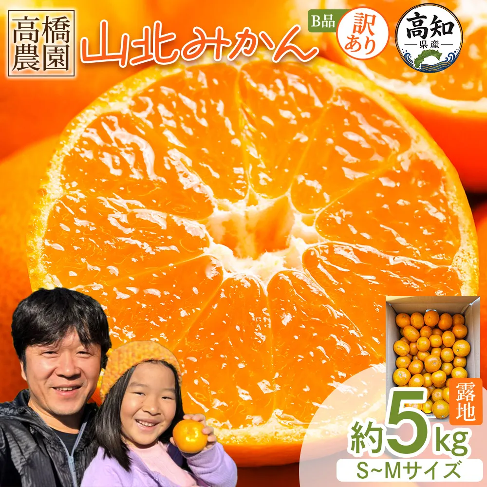 【2026年11月中旬より順次配送】訳あり 山北みかん 露地(S〜M)B品 5kg - 果物 フルーツ ミカン 蜜柑 柑橘 家庭用 自宅用 新鮮 農家直送 露地 高知県 香南市 th-0031