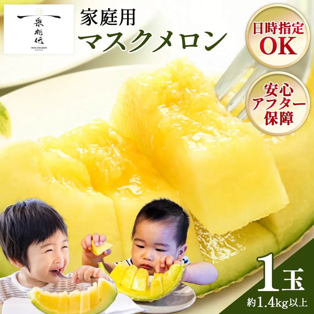 一果相伝 マスクメロン 家庭用 1玉入り - 送料無料 果物 くだもの フルーツ めろん 青肉 デザート 産地直送 篤農 高知県 香南市 tn-0024