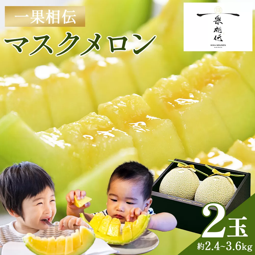一果相伝 マスクメロン 2玉入り - 送料無料 めろん 青肉 果物 くだもの フルーツ 贈答用 贈答品 贈り物 ギフト お祝い 御祝い 感謝 熨斗 のし対応可 産地直送 新鮮 高級 贅沢 ぜいたく ご褒美 ごほうび おいしい 美味しい 甘い あまい フレッシュ ジューシー 果汁 果肉 果実 スイーツ デザート 特別 プレゼント おとりよせ お取り寄せ グルメ 大きい 記念日 誕生日 お中元 お歳暮 箱入り とくのう 篤農 高知県 香南市 常温  tn-0012