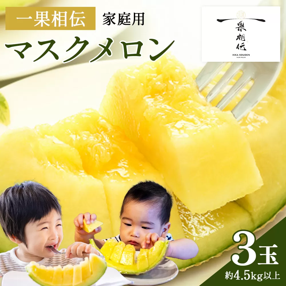 一果相伝マスクメロン家庭用 3玉入り - 果物 くだもの フルーツ めろん 青肉 デザート スイーツ ご自宅用 ジューシー 果汁 芳醇 幸せ 至福 美味しい 甘い あまい 篤農 産地直送 高知県 香南市 常温 tn-0029