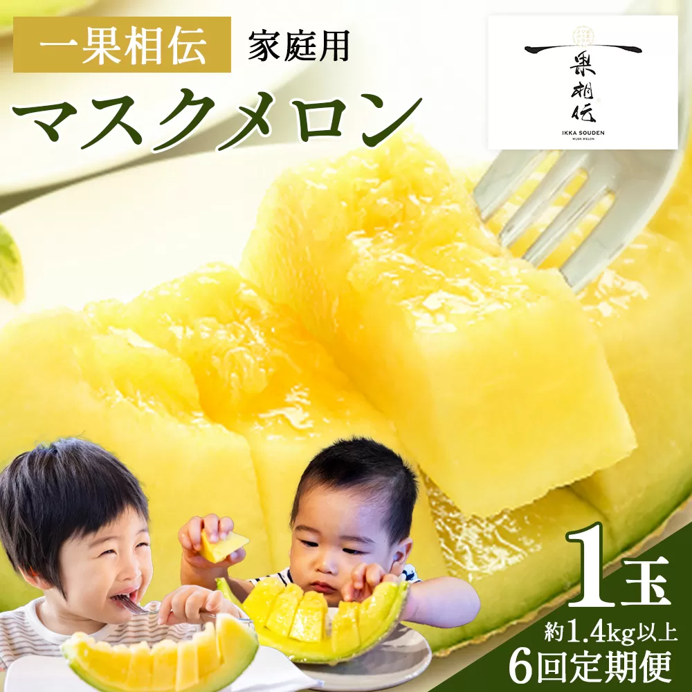 【６回定期便】一果相伝マスクメロン 家庭用 1玉入り- めろん 青肉 自宅用 ジューシー 果汁 至福 美味しい 甘い あまい 篤農 産地直送 高知県 香南市 常温 Wtn-0039