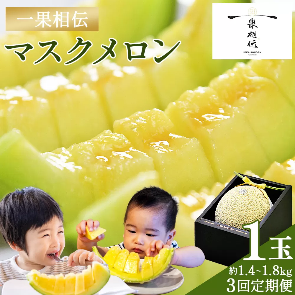 【３回定期便】一果相伝マスクメロン 1玉入り- めろん 青肉 果物 くだもの フルーツ 贈答用 贈答品 贈り物 ギフト お礼 御礼 感謝 お祝い 御祝い 産地直送 新鮮 篤農 高知県 香南市 常温 Wtn-0040