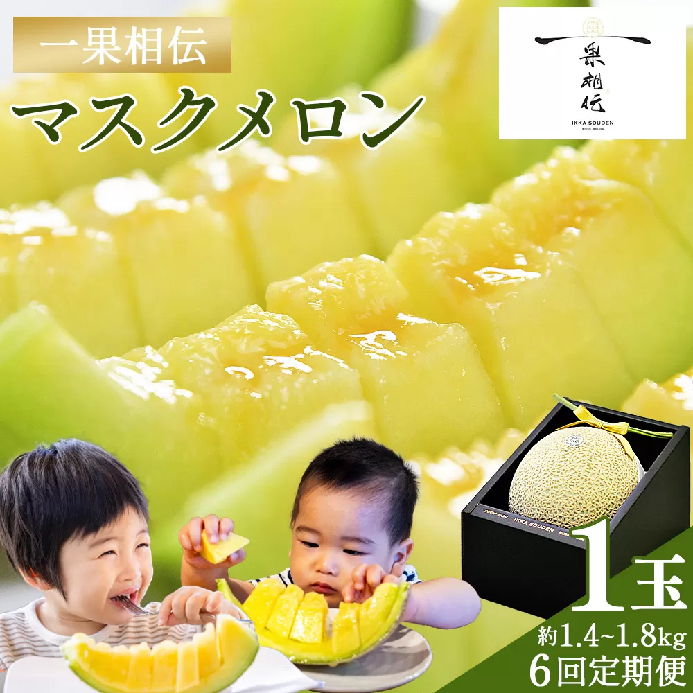 【６回定期便】一果相伝マスクメロン 1玉入り - めろん 青肉 果物 くだもの フルーツ 贈答用 贈答品 贈り物 ギフト お礼 御礼 感謝 お祝い 御祝い 産地直送 新鮮 篤農 高知県 香南市 常温 Wtn-0041