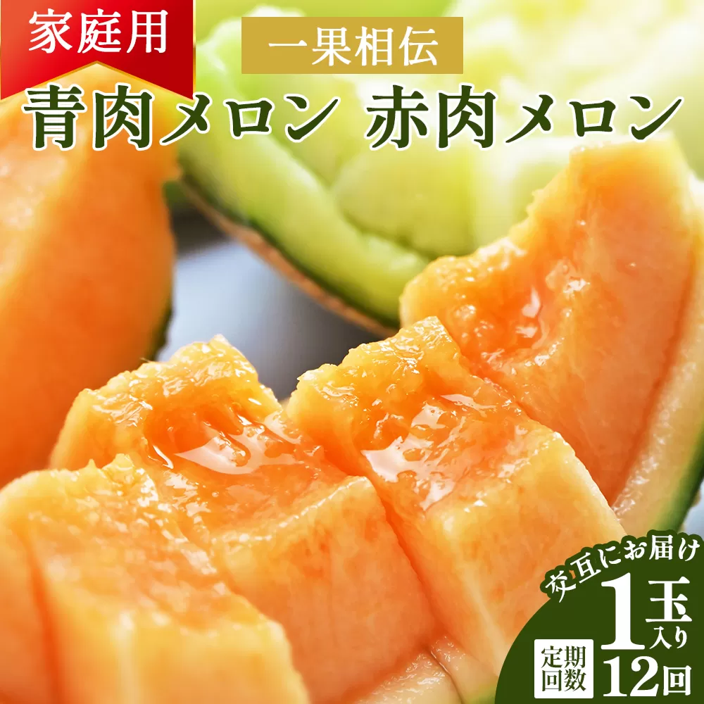 【12回定期便】一果相伝 青肉メロン 赤肉メロン 家庭用 1玉 交互にお届け - 定期便 果物 フルーツ めろん 青肉 赤肉 自宅用 ジューシー 果汁 至福 美味しい ソーダ ケーキ 篤農 産地直送 高知県 香南市 常温 Wtn-0053