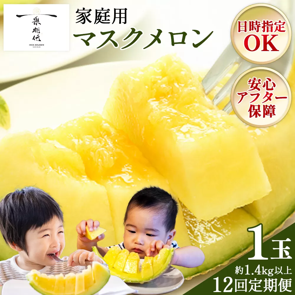 【12回定期便】一果相伝マスクメロン 家庭用 1玉入り- 果物 フルーツ めろん 青肉 ギフト 自宅用 ジューシー 果汁 至福 美味しい ソーダ シロップに 甘い ケーキに あまい 篤農 産地直送 高知県 香南市 常温 Wtn-0051