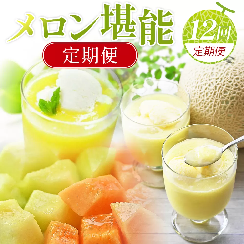 【12回定期便】メロン堪能定期便 - 国産 マスクメロン 完熟 赤肉 青肉 家庭用 フルーツ 果物 ピューレ シャーベット 飲み物 飲料 フルーツジュース 篤農 高知県 香南市 常温 冷凍 Wtn-0056