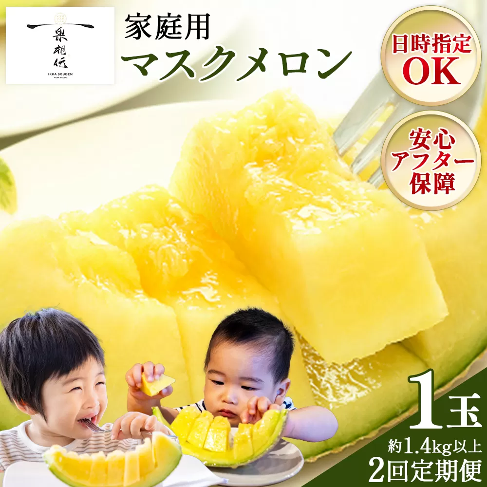 【２回定期便】一果相伝マスクメロン 家庭用 1玉入り - 果物 フルーツ めろん 青肉 ギフト 自宅用 ジューシー 果汁 至福 美味しい ソーダ シロップに 甘い ケーキに あまい 篤農 産地直送 高知県 香南市 常温 Wtn-0057