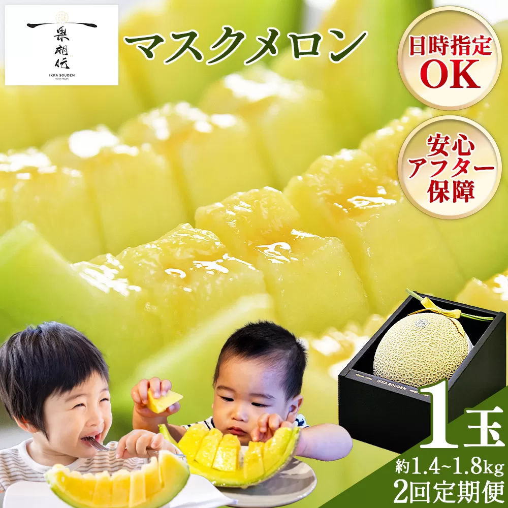 【２回定期便】一果相伝マスクメロン贈答用 1玉入り - めろん 青肉 果物 くだもの フルーツ 贈答用 贈答品 贈り物 ギフト お礼 御礼 感謝 お祝い 御祝い 産地直送 新鮮 篤農 高知県 香南市【常温 Wtn-0058