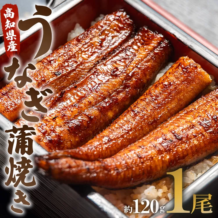 うなぎ屋きた本 うなぎ蒲焼き 1尾（約120g）（無頭）- 送料無料 鰻 ウナギ スタミナ 晩ご飯 おつまみ 丼ぶり 魚 ギフト お取り寄せグルメ プレゼント 海の幸 ギフト うなぎ屋きた本 高知県 香南市 冷凍 un-0013