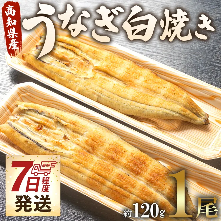 【7日程度で発送】うなぎ屋きた本 うなぎ白焼き 1尾（約120g）（無頭）- 送料無料 鰻 ウナギ 魚介 山椒塩 惣菜 おかず のし ギフト 贈答 贈り物 プレゼント 丑の日 国産 うなぎ屋きた本 高知県 香南市 冷凍 un-0078