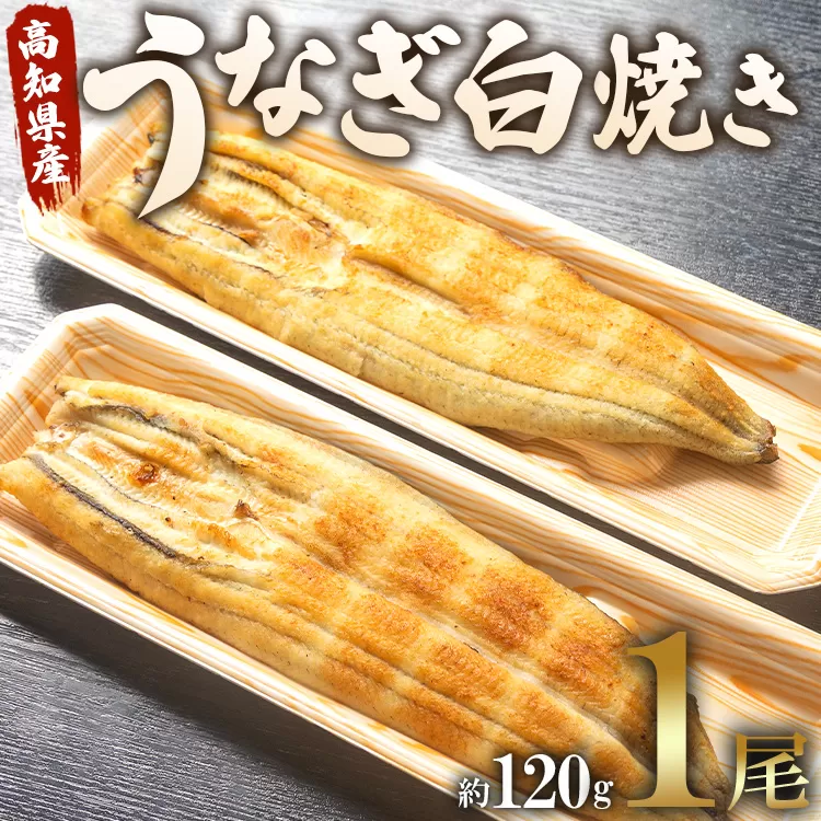 うなぎ屋きた本 うなぎ白焼き 1尾（約120g）（無頭）- 送料無料 鰻 ウナギ 魚介 山椒塩 惣菜 おかず のし ギフト 贈答 贈り物 プレゼント 丑の日 国産 うなぎ屋きた本 高知県 香南市 冷凍 un-0008