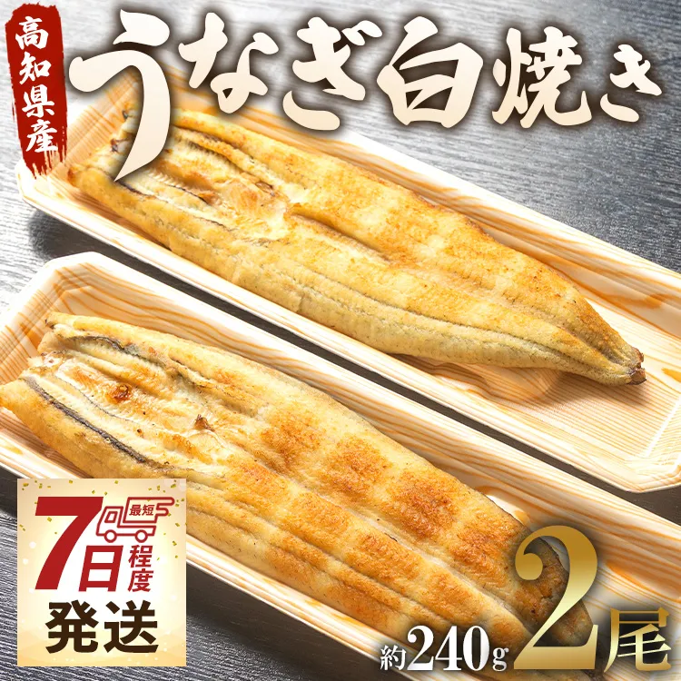 【7日程度で発送】うなぎ屋きた本 うなぎ白焼き 2尾(合計約240g)(無頭)- 送料無料 鰻 ウナギ 魚介 惣菜 おかず 山椒塩 ギフト のし 贈り物 プレゼント 贈答 丑の日 うなぎ屋きた本 高知県 香南市 冷凍 un-0083