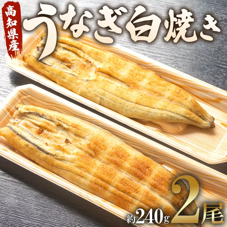 うなぎ屋きた本 うなぎ白焼き 2尾（合計約240g）（無頭）- 送料無料 鰻 ウナギ 魚介 惣菜 おかず 山椒塩 ギフト のし 贈り物 プレゼント 贈答 丑の日 うなぎ屋きた本 高知県 香南市 冷凍 un-0010