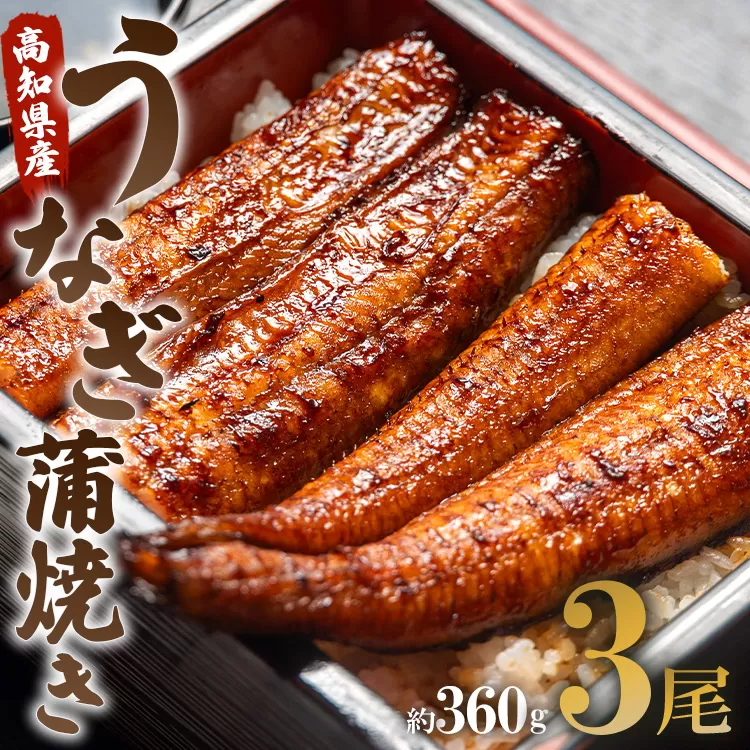 うなぎ屋きた本 うなぎ蒲焼き 3尾（合計約360g）（無頭）- 送料無料 鰻 ウナギ 魚介 晩ご飯 夕飯 おかず おつまみ スタミナ 敬老の日 ギフト 贈答 贈り物 丑の日 うなぎ屋きた本 高知県 香南市 冷凍 un-0015