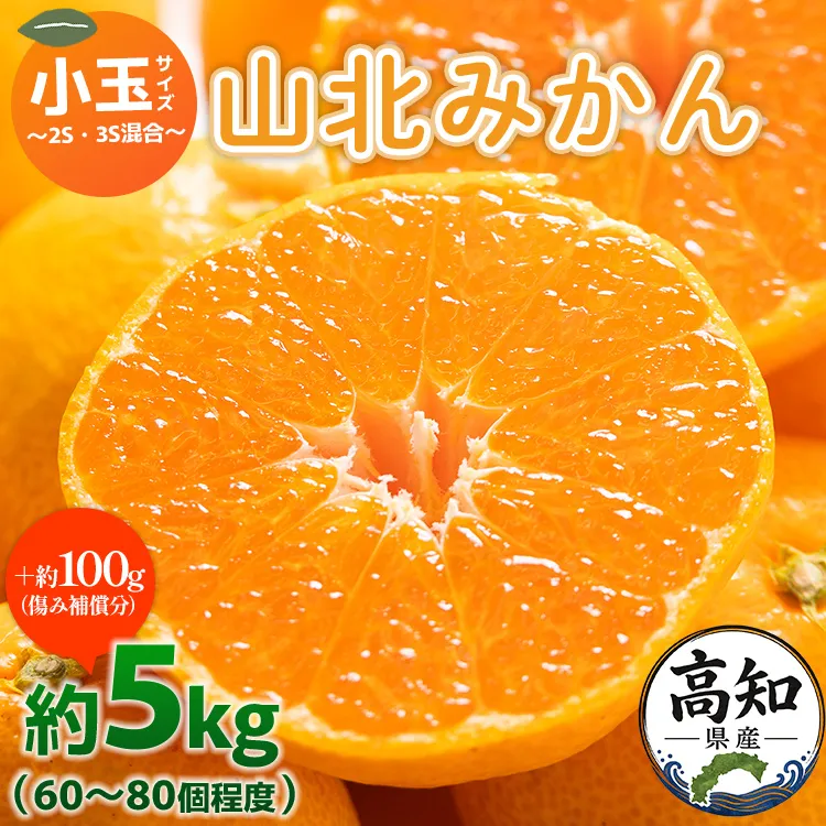 山北みかん 小玉サイズ 2S・3S混合 約5kg(60〜80個程度) 山北みらい - 果物 フルーツ 柑橘類 温州みかん ミカン 蜜柑 甘い おいしい 美味しい 高知県 香南市 yk-0078