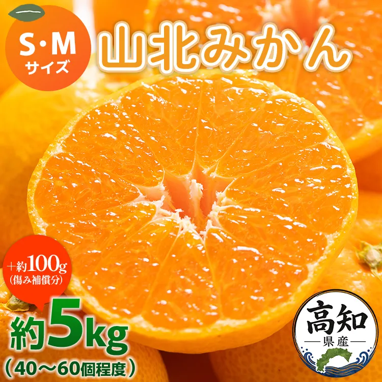 山北みかん S・Mサイズ 約5kg（40～60個程度）山北みらい 秀品 - 果物 フルーツ 柑橘類 温州みかん ミカン 蜜柑 甘い おいしい 美味しい 高知県 香南市 yk-0062