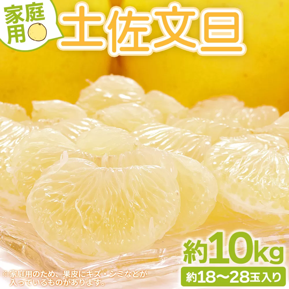 土佐文旦 家庭用 10kg 大小混合(L〜3L) 約18〜28玉入り - 果物 フルーツ 柑橘 ぶんたん ブンタン おいしい 送料無料 特産品 期間限定 山北みらい 高知県 香南市 常温 yk-0052