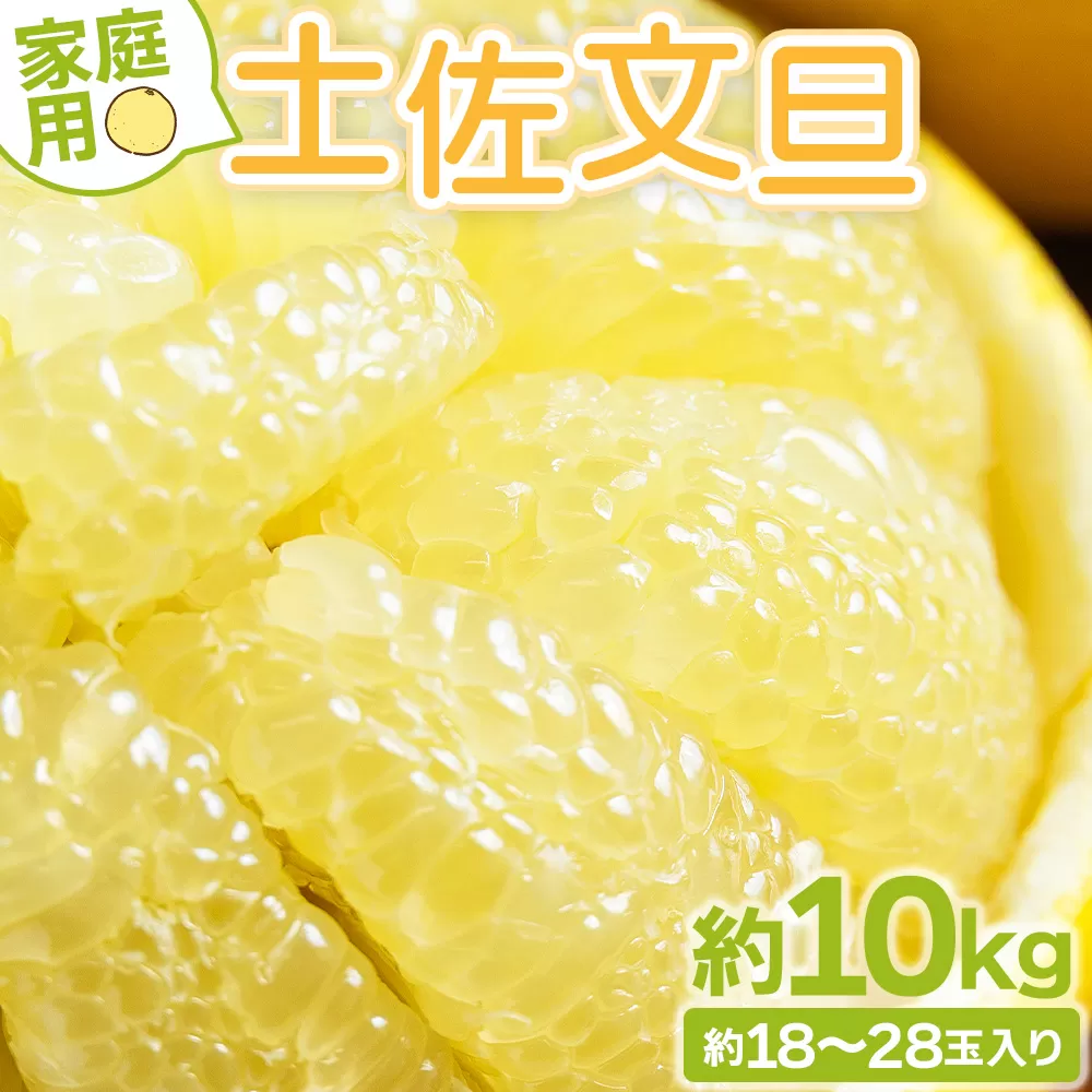 土佐文旦 家庭用 10kg 大小混合(L〜3L) 約18〜28玉入り - 果物 フルーツ 柑橘 ぶんたん ブンタン おいしい 送料無料 特産品 期間限定 山北みらい 高知県 香南市 常温 yk-0070