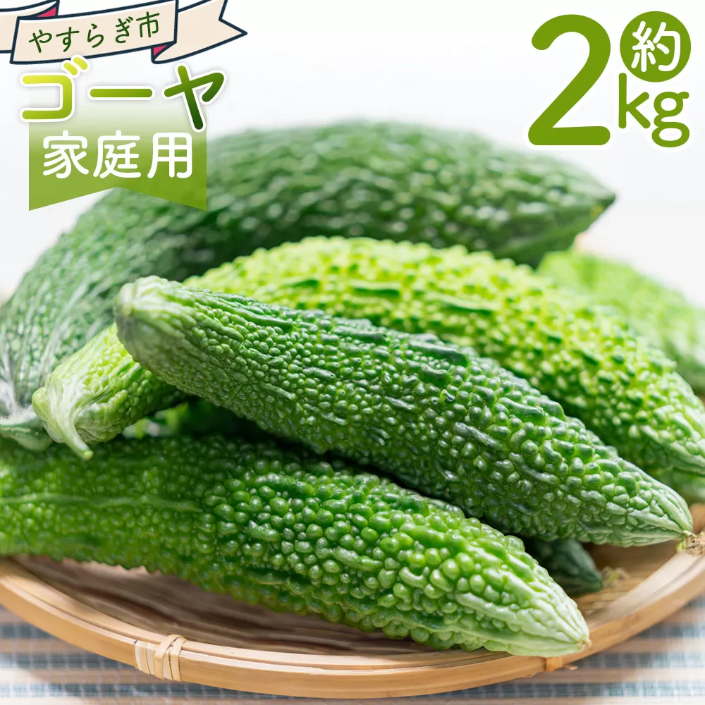 【2025年10月以降順次発送】ゴーヤ 2kg 家庭用 - 国産 野菜 青果 ごうや 苦瓜 天ぷら 炒め物 ご家庭用 不揃い 傷 やすらぎ市 高知県 香南市 常温 yr-0074