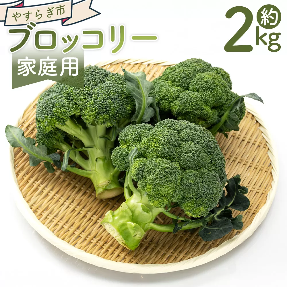 【2025年11月末以降発送】ブロッコリー 2kg 家庭用 - 国産 野菜 緑黄色野菜 青果 サラダ グラタン ご家庭用 不揃い 傷 やすらぎ市 高知県 香南市 冷蔵 yr-0087