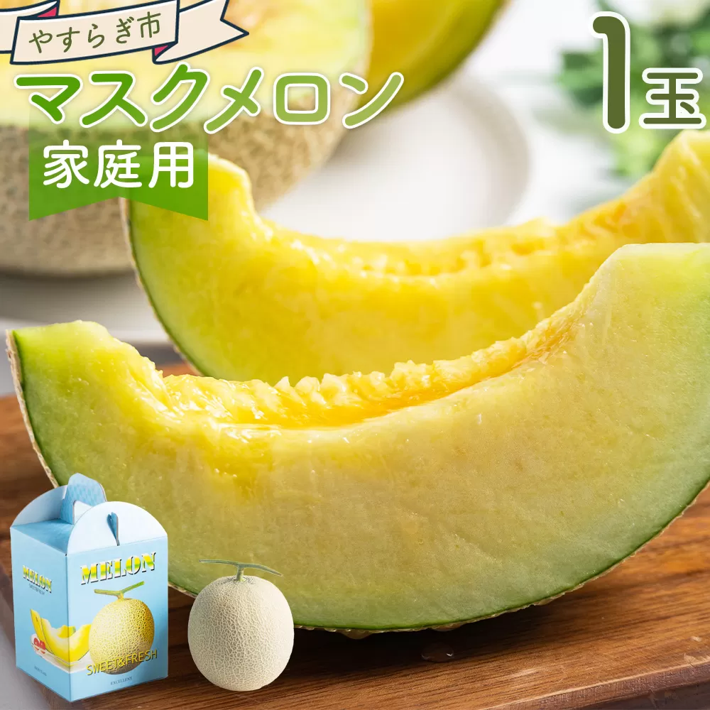 【令和8年3月発送開始】マスクメロン 1玉 家庭用 - 国産 メロン 果物 フルーツ 青果 濃厚 デザート 訳あり 訳アリ ご家庭用 不揃い 傷 やすらぎ市 高知県 香南市 常温 yr-0088