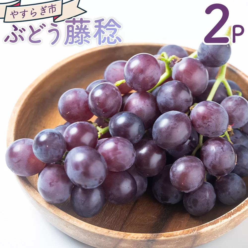 ぶどう 藤稔 2P - 国産 果物 くだもの 青果 フルーツ 葡萄 ブドウ グレープ ジューシー デザート やすらぎ市 高知県 香南市 冷蔵 yr-0098