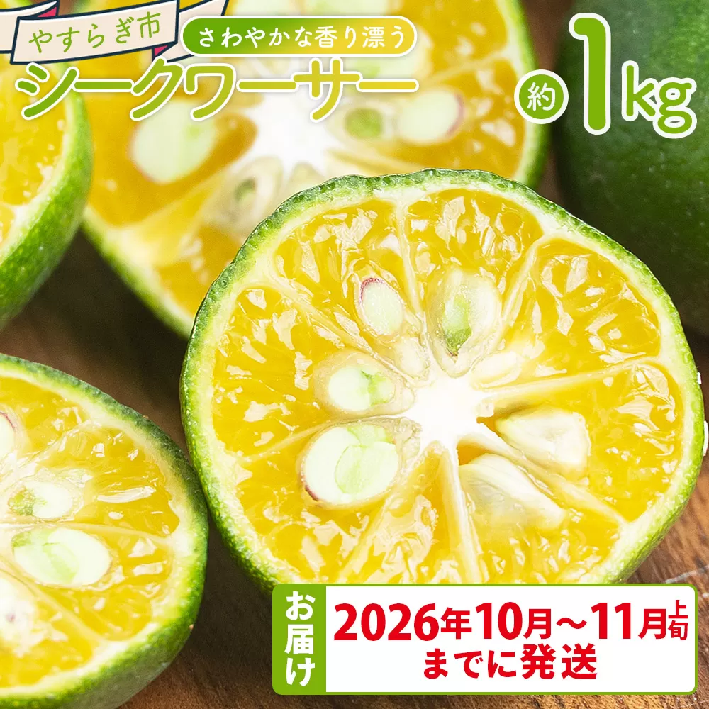 さわやかな香り漂うシークワーサー 1kg - 国産 シークヮーサー 果物 フルーツ 果実 青果 柑橘 ヒラミレモン ジュース 酒 やすらぎ市 高知県 香南市 常温 2026年10月~11月上旬までに発送 yr-0106