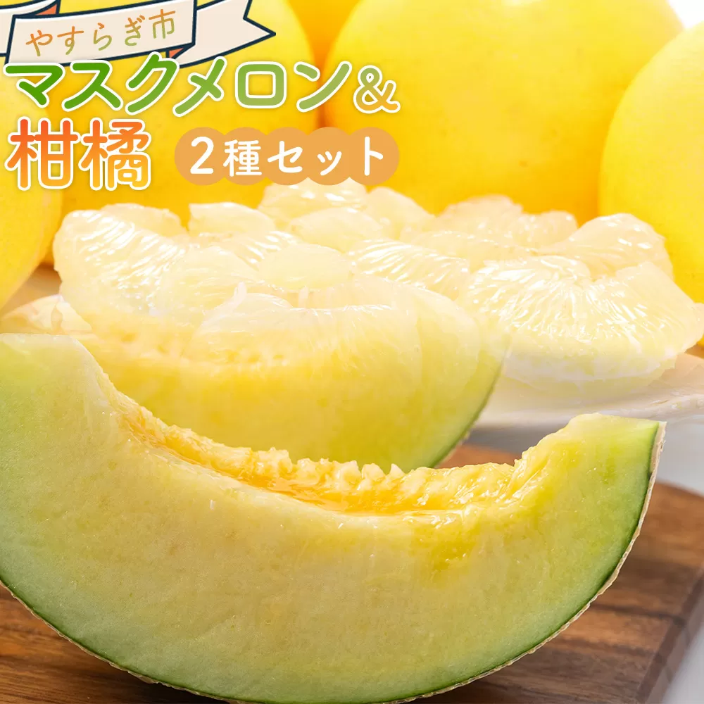 マスクメロン&柑橘2種セット - フルーツ 果物 果実 青果 メロン 濃厚 柑橘 蜜柑 文旦 みかん 小夏 きんかん 訳あり 訳アリ ご家庭用 家庭用 自宅用 不揃い 小傷 やすらぎ市 高知県 香南 常温 yr-0111