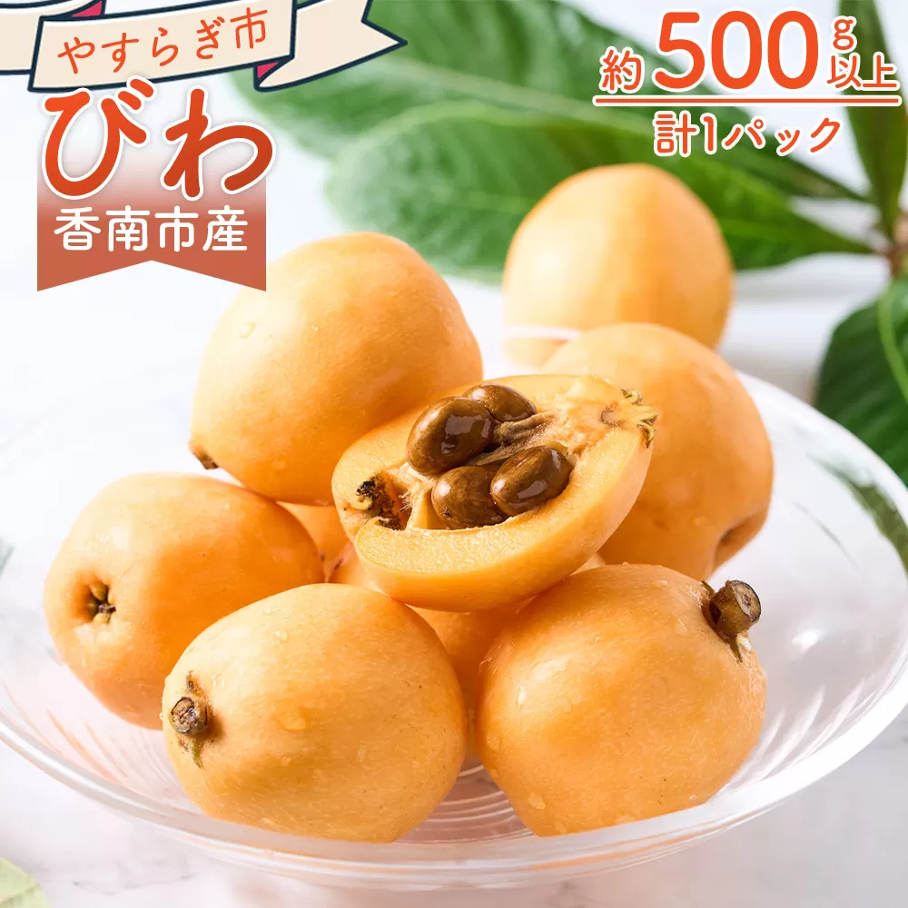 びわ 1パック 約500ｇ以上 10～15個入 香南市産 - 国産 フルーツ 果物 果実 青果 ビワ 枇杷 山の幸 山の恵み 甘い やすらぎ市 高知県 香南市 冷蔵 yr-0114