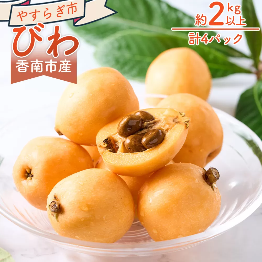 びわ ４パック 約2000ｇ （1パックあたり10～15個入） 香南市産 - 国産 フルーツ 果物 果実 青果 ビワ 枇杷 山の幸 山の恵み 甘い やすらぎ市 高知県 香南市 冷蔵 yr-0117