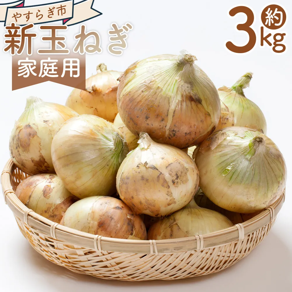 新玉ねぎ 3kg 家庭用 - 国産 野菜 青果 たまねぎ タマネギ 玉葱 オニオン ご家庭用 訳あり 訳アリ 不揃い 傷 やすらぎ市 高知県 香南市 冷蔵 yr-0121