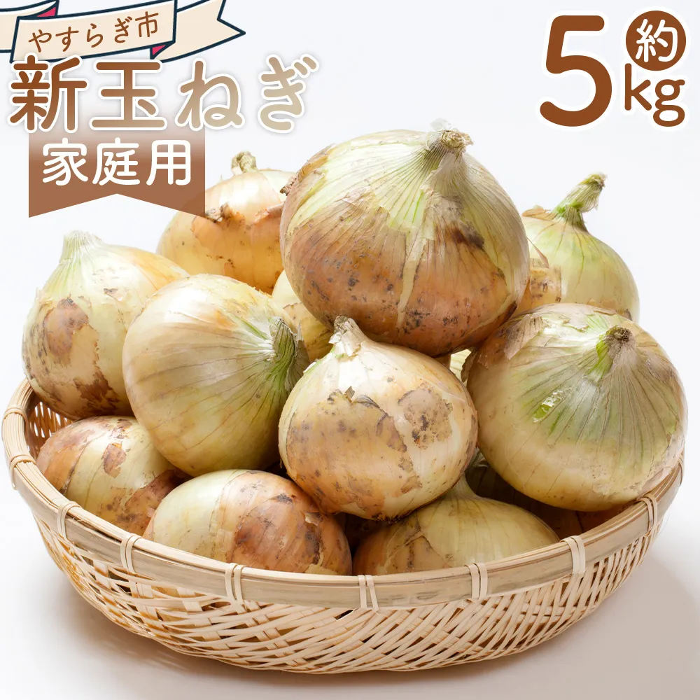 新玉ねぎ 5kg 家庭用 - 国産 野菜 青果 たまねぎ タマネギ 玉葱 オニオン ご家庭用 訳あり 訳アリ 不揃い 傷 やすらぎ市 高知県 香南市 冷蔵 yr-0122