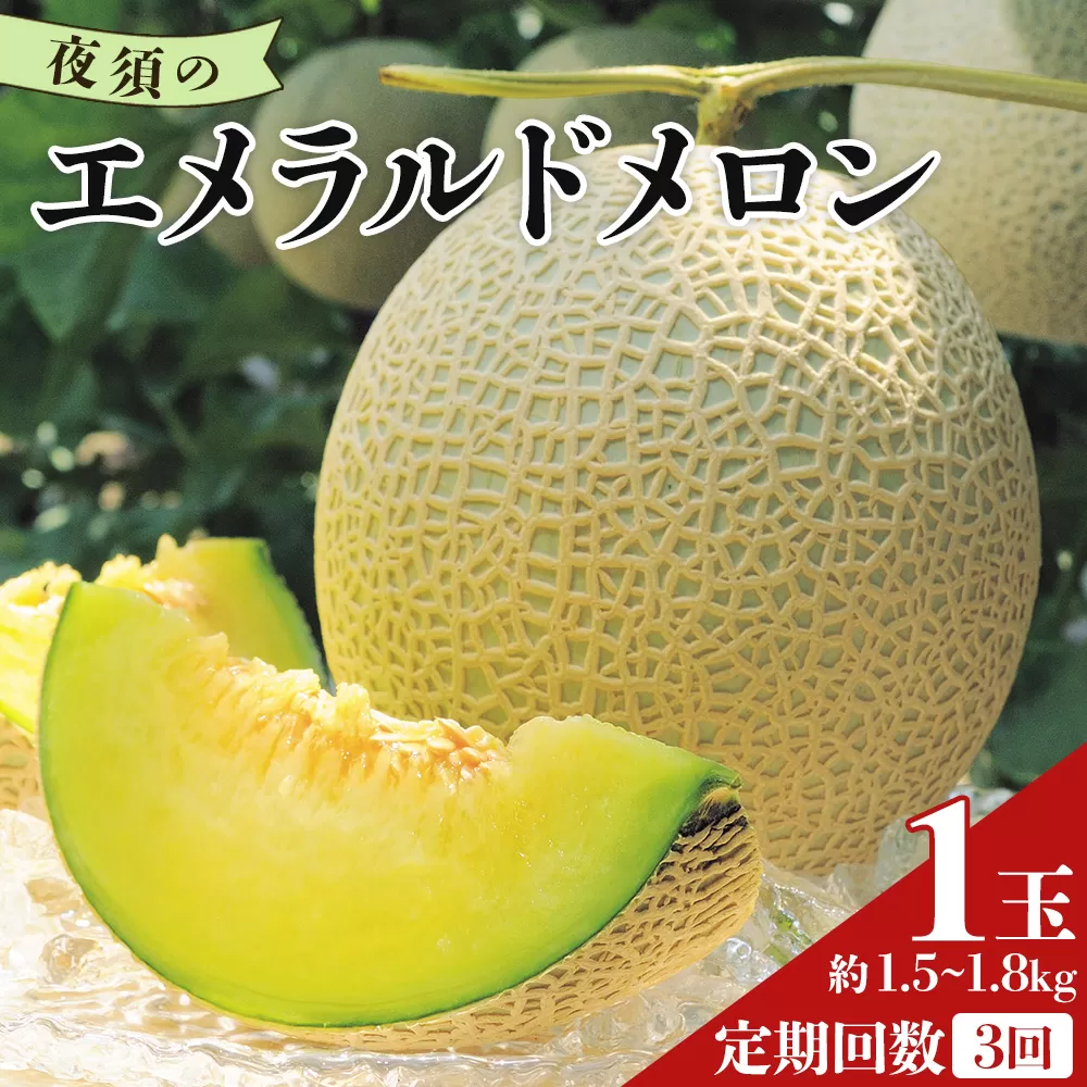 【３回定期便】夜須のエメラルドメロン 1玉 - テレビ朝日「ザワつく!金曜日」で特集 紹介 くだもの フルーツ ギフト マスクメロン 青肉 ギフト 贈答用 ご褒美 高級 お礼 御祝 産地直送 JA 高知県農業協同組合 香南市 常温 Wyu-0030