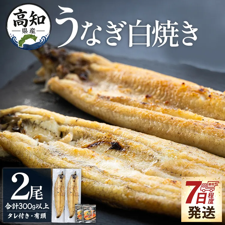 【7日程度で発送】高知県産うなぎの白焼き 150〜180ｇ×2尾 - エコ包装 国産 うなぎ 白焼き 鰻 冷凍 高知 yw-0114
