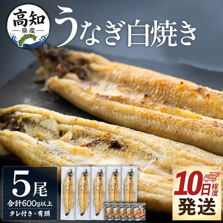 【10日程度で発送】高知県産鰻の白焼き120～130ｇ 5尾 蒲焼きのタレ5袋 エコ包装 - お中元 鰻 ウナギ 有頭 つまみ 蒲焼きのたれ タレ個包装 真空パック うな丼 ウナ丼 父の日 国産 吉川水産 高知県 香南市 冷凍 yw-0128