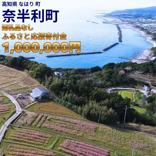 999999-9【応援寄附金】高知県奈半利町 1口 100万円 返礼品なしのご寄附　【奈半利町役場】
