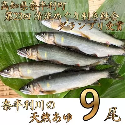 107002 奈半利川の友釣り天然アユ（冷凍） ９尾 利き鮎グランプリ受賞 釣り 鮎 あゆ 奈半利川 アウトドア 清流めぐり利き鮎会 SPグランプリ受賞 /高知県 奈半利町
