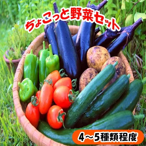 116001　ちょこっと野菜セット  お野菜 季節 野菜 旬 新鮮 産地直送 詰め合わせ やさい おいしい 自然 セット  おまかせ 詰合せ 旬の野菜 お試し 4～5種類 少量/高知県奈半利町