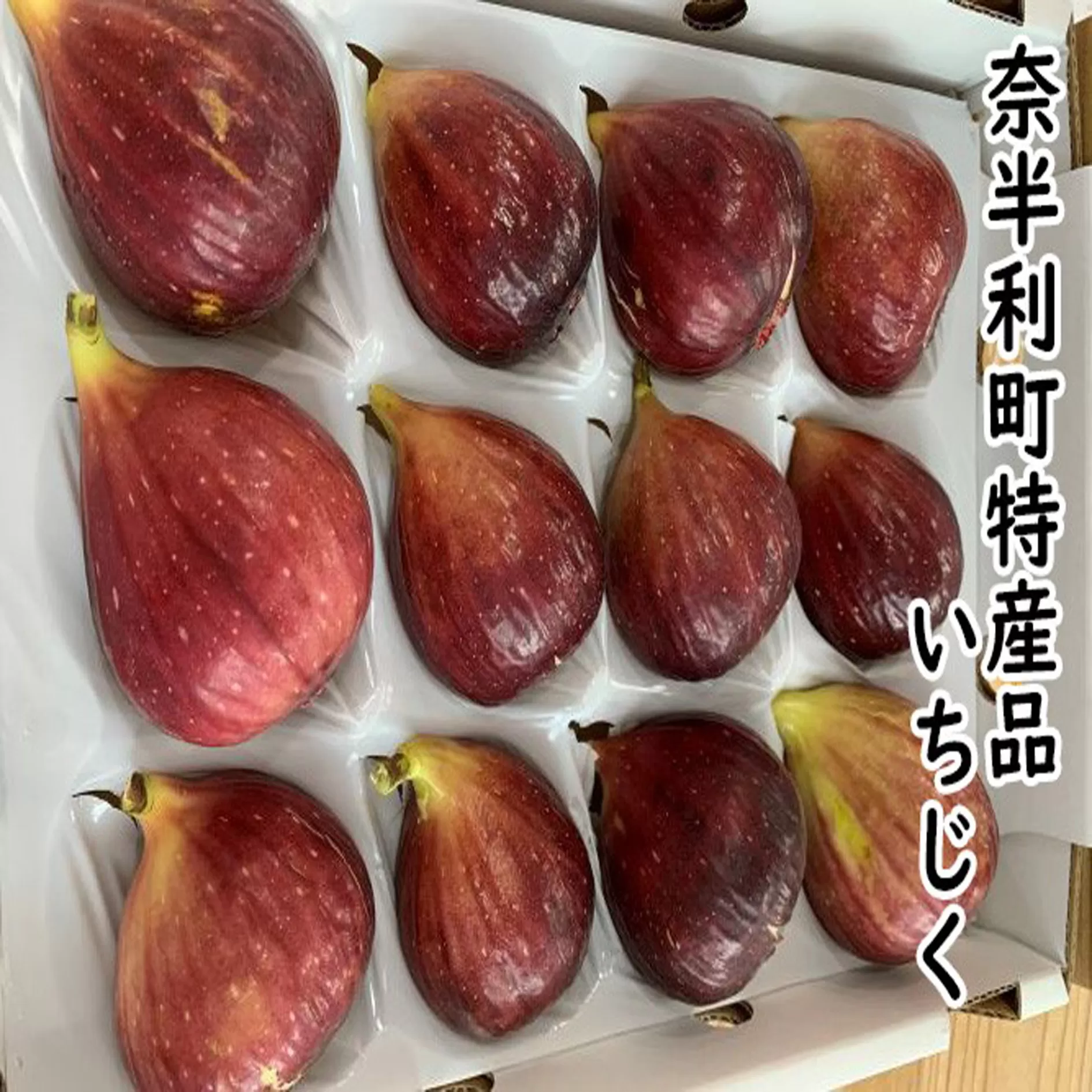 116022　いちじく